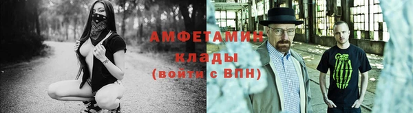 ПСИЛОЦИБИНОВЫЕ ГРИБЫ Вяземский