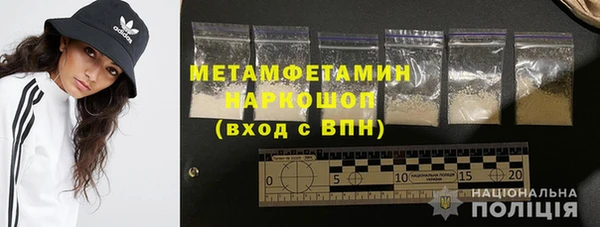 ПСИЛОЦИБИНОВЫЕ ГРИБЫ Вяземский