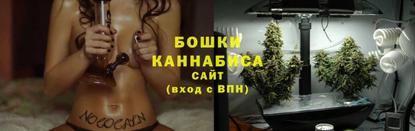 ПСИЛОЦИБИНОВЫЕ ГРИБЫ Вяземский