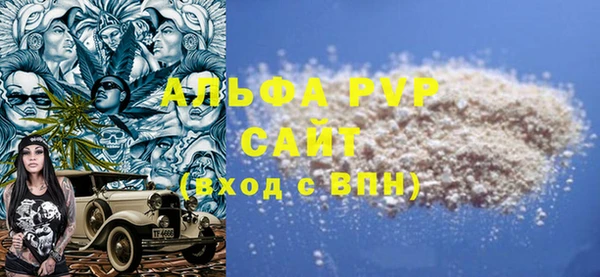 ПСИЛОЦИБИНОВЫЕ ГРИБЫ Вяземский