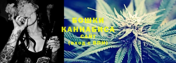 ПСИЛОЦИБИНОВЫЕ ГРИБЫ Вяземский