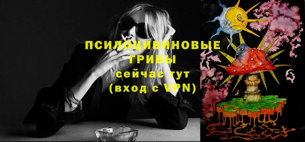 твердый Вязники