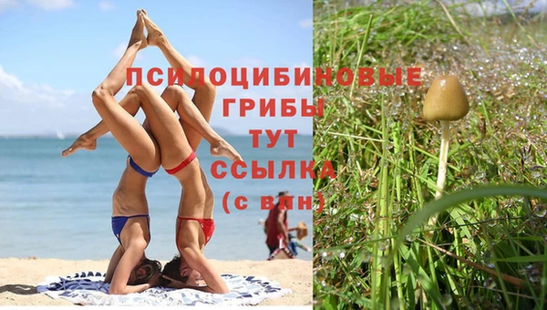 мет Вязьма
